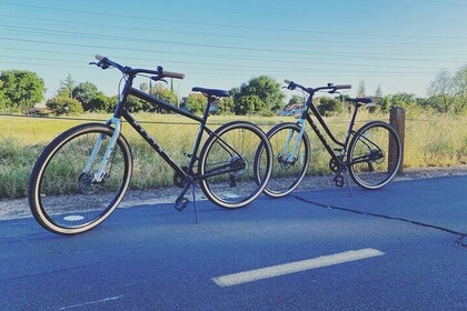 90 minutes Bicycle tours through Folsom CA
