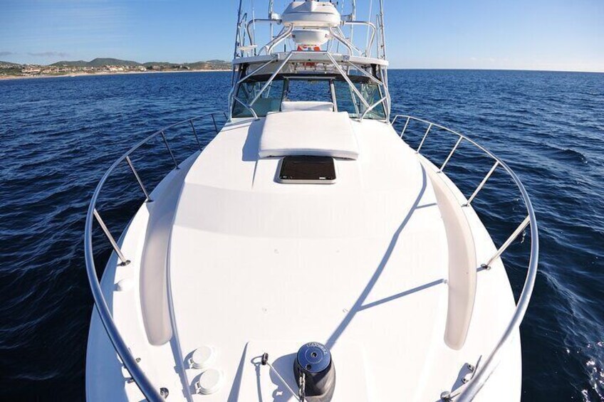 Luxury Fishing Charter