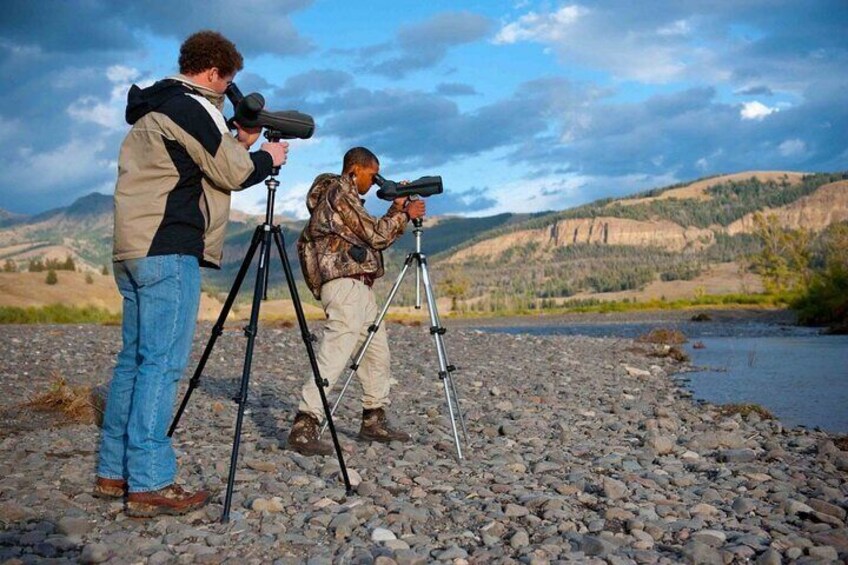 Private Sunrise Wildlife Adventure Into Yellowstone Lamar Valley