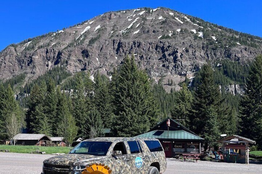 Private Sunrise Wildlife Adventure Into Yellowstone Lamar Valley