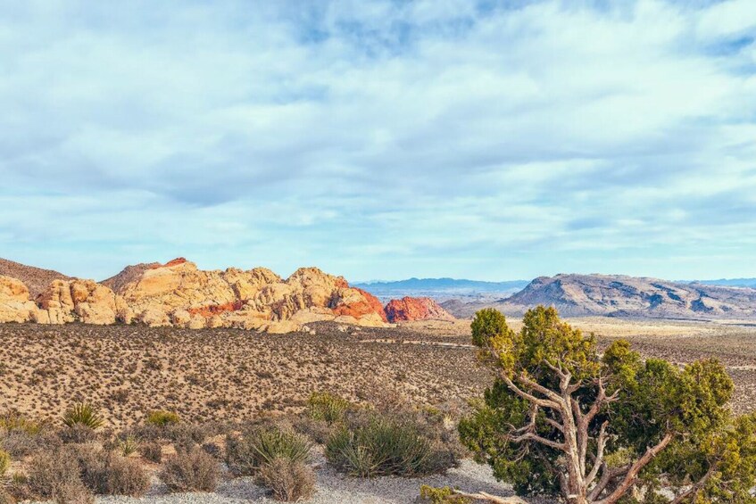 Red Rock Canyon Self-Guided Driving Audio Tour