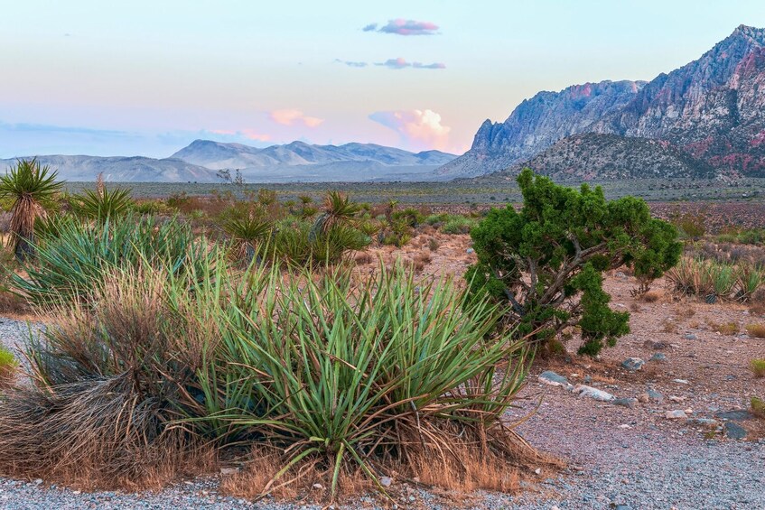 Red Rock Canyon Self-Guided Driving Tour