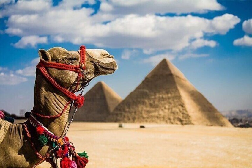 One Day Tour to Cairo from Sharm El Sheikh by Plane 