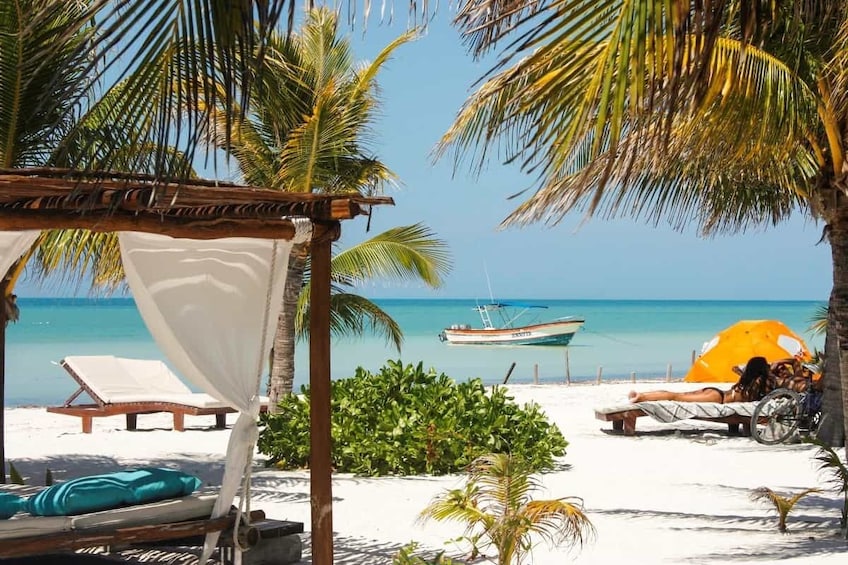 Holbox Island Day Trip with Boat Tour & Lunch