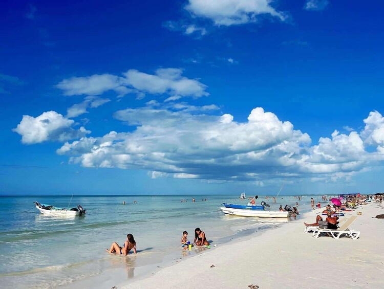 Holbox Island Day Trip with Boat Tour & Lunch