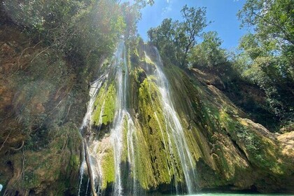 Samana Full Day Whale Sighting: Waterfall, Safari and Beach