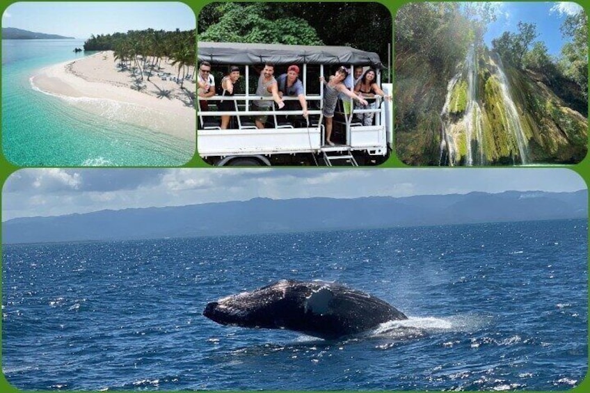 Samana Full Day: Waterfall, Whale, Safari and Beach