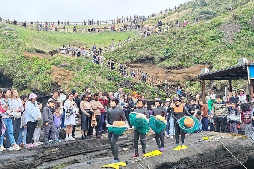 Private Round Trip Woman Diver Performance in Jeju Island
