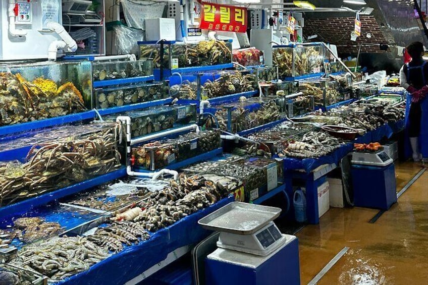 Discover the variety of Korean sea