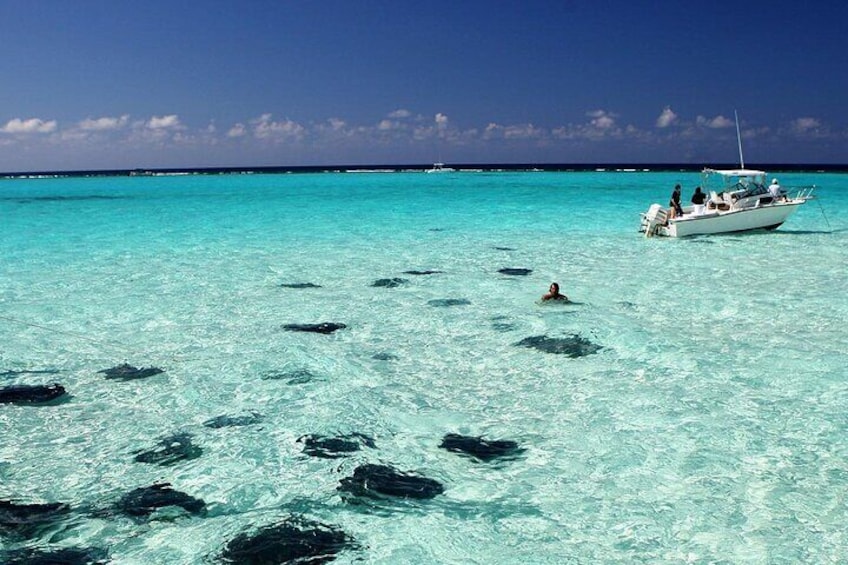 Stingray City and Reef Snorkeling Adventure on Grand Cayman