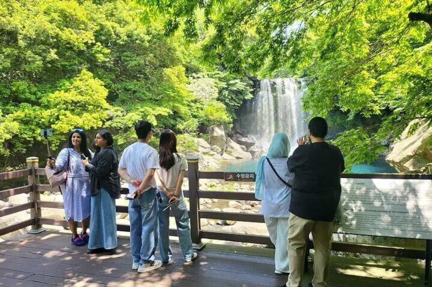 Private Tour Cheonjeyeon Falls & Osulloc Museum in Jeju Island 