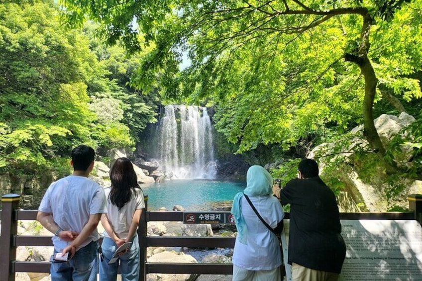 Private Tour Cheonjeyeon Falls & Osulloc Museum in Jeju Island 