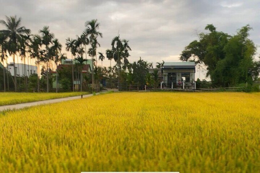 Hoi An Vespa Tour