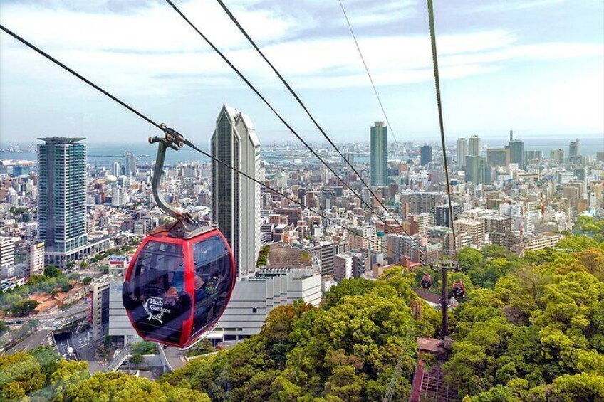 Private Tour - Experience Kobe's Gems • Old & New