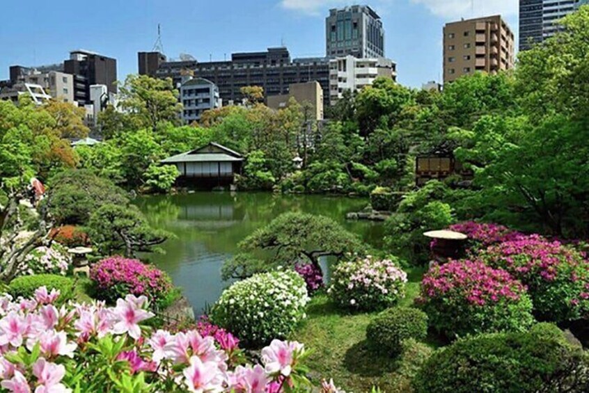 Private Tour - Experience Kobe's Gems • Old & New