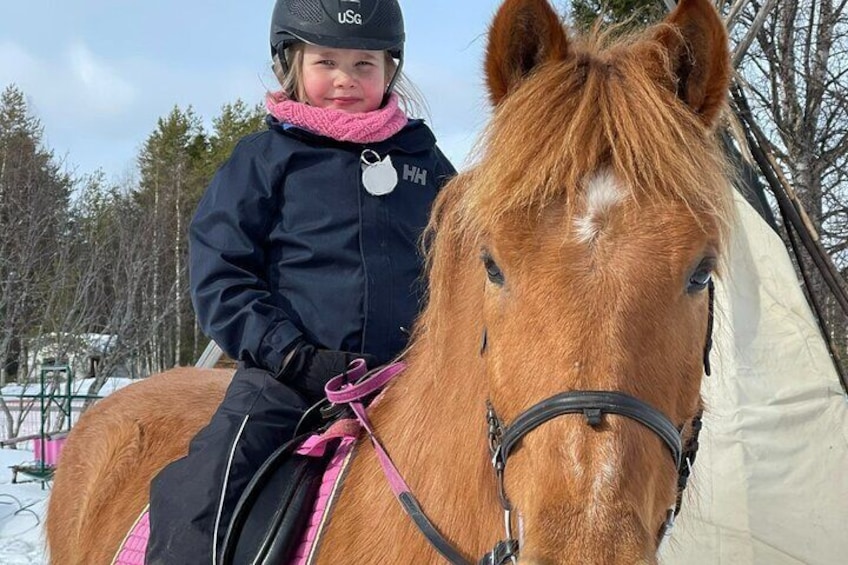 Riding Tour with Finnhorses
