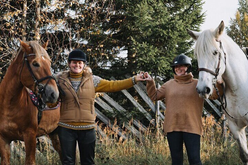 Riding Tour with Finnhorses at Santa Claus Village