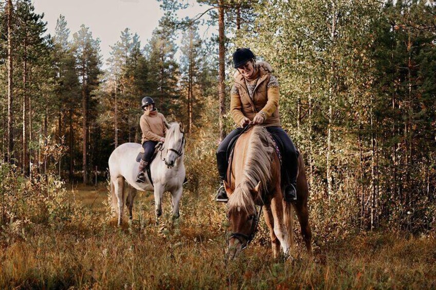Riding Tour with Finnhorses at Santa Claus Village