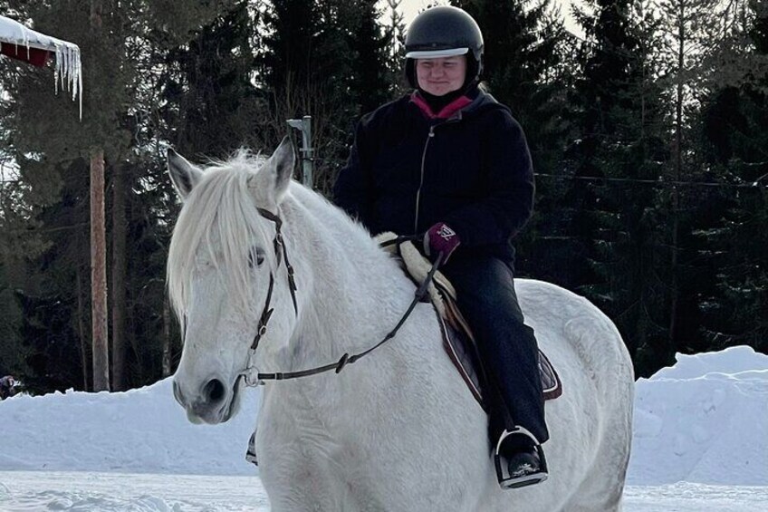 Riding Tour with Finnhorses at Santa Claus Village