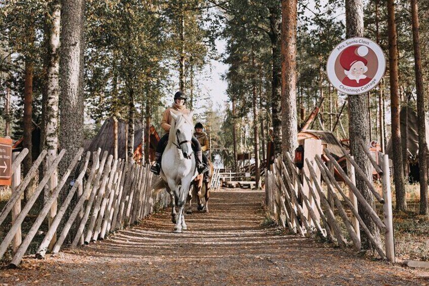 Riding Tour with Finnhorses at Santa Claus Village