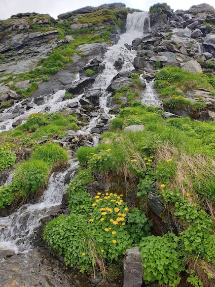 Picture 15 for Activity From Brasov : Transfagarasan and Balea Lake Ebike tour