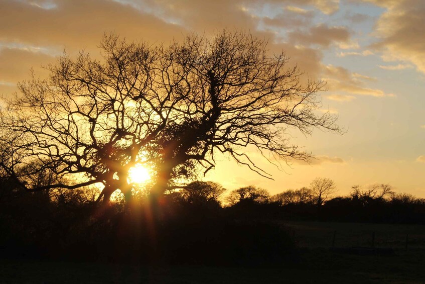 Picture 3 for Activity chichester and west sussex photography and Tourist tours