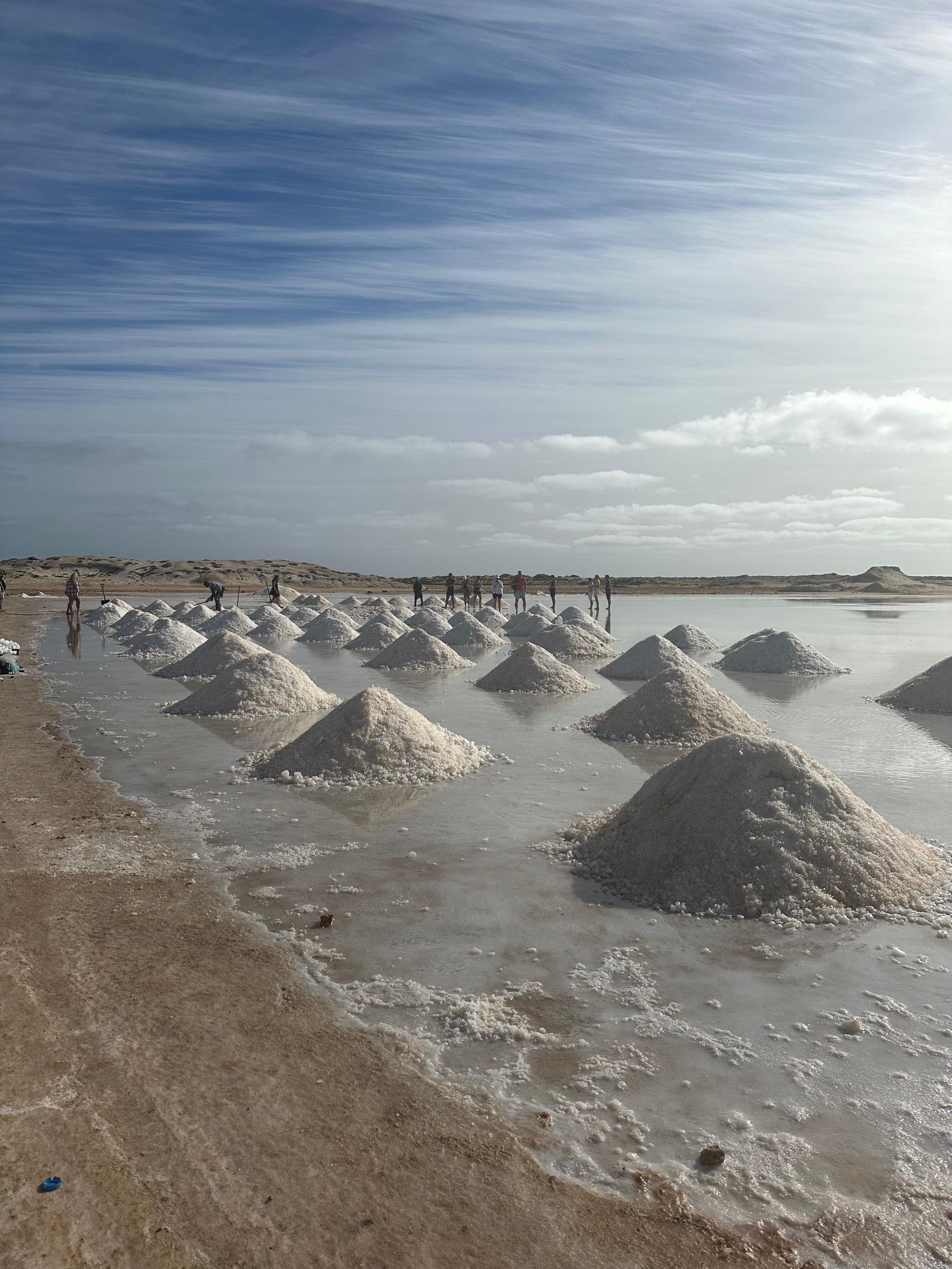 Picture 16 for Activity The Best Sal Island Private Tour