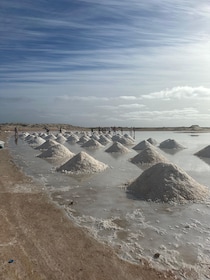 Tur Pribadi Sehari Penuh di Pulau Sal