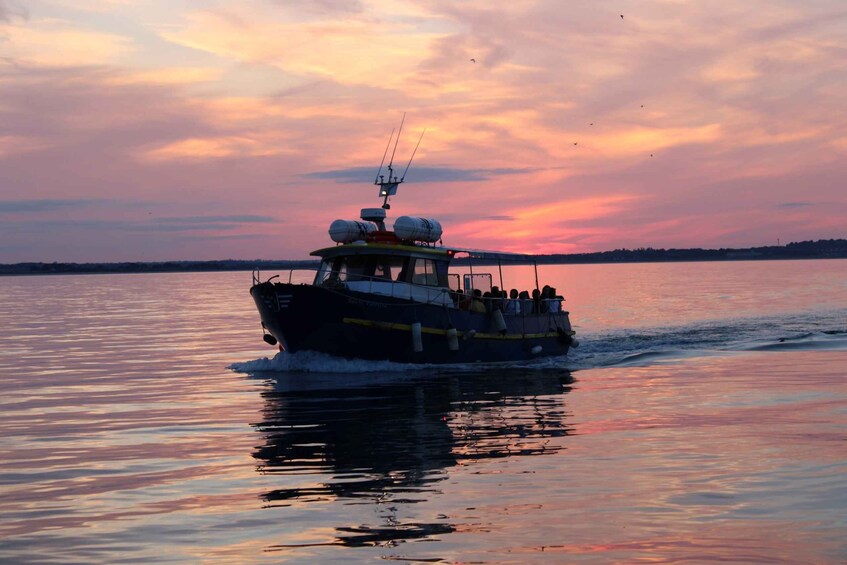 Picture 2 for Activity Dublin: Howth Cruise and Dine Experience