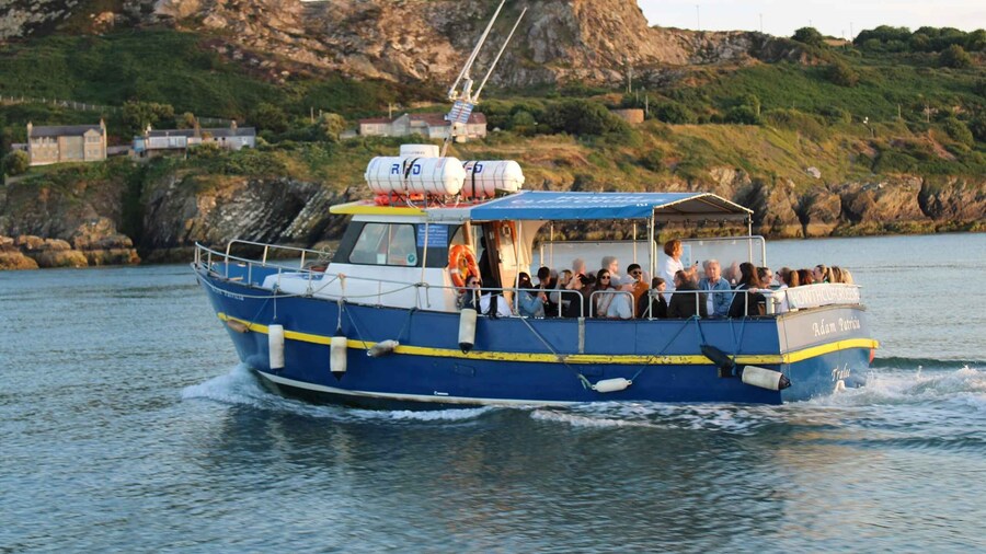 Dublin: Howth Cruise and Dine Experience