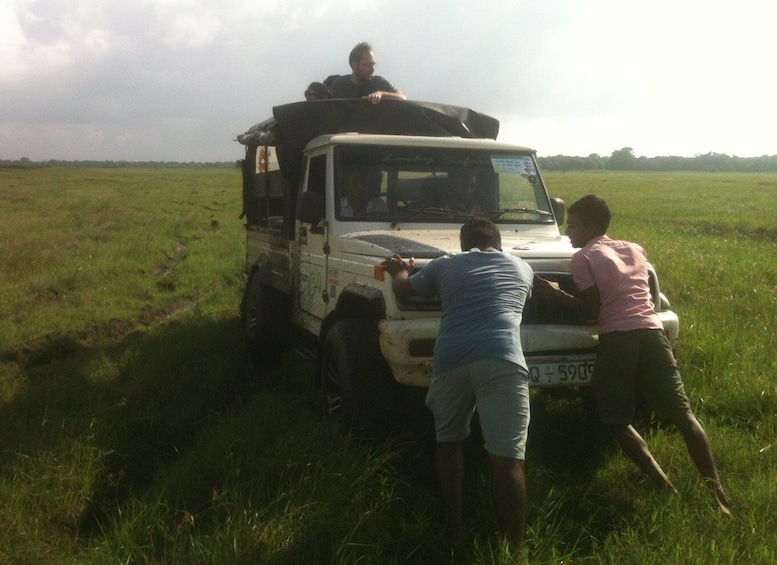 Picture 16 for Activity Colombo: Nature, Wildlife & History 4-Day Guided Tour