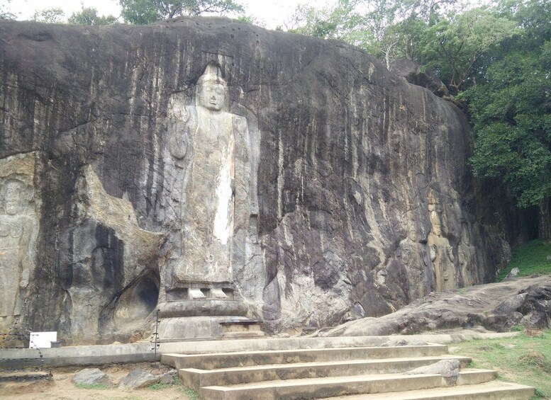 Picture 3 for Activity Colombo: Nature, Wildlife & History 4-Day Guided Tour