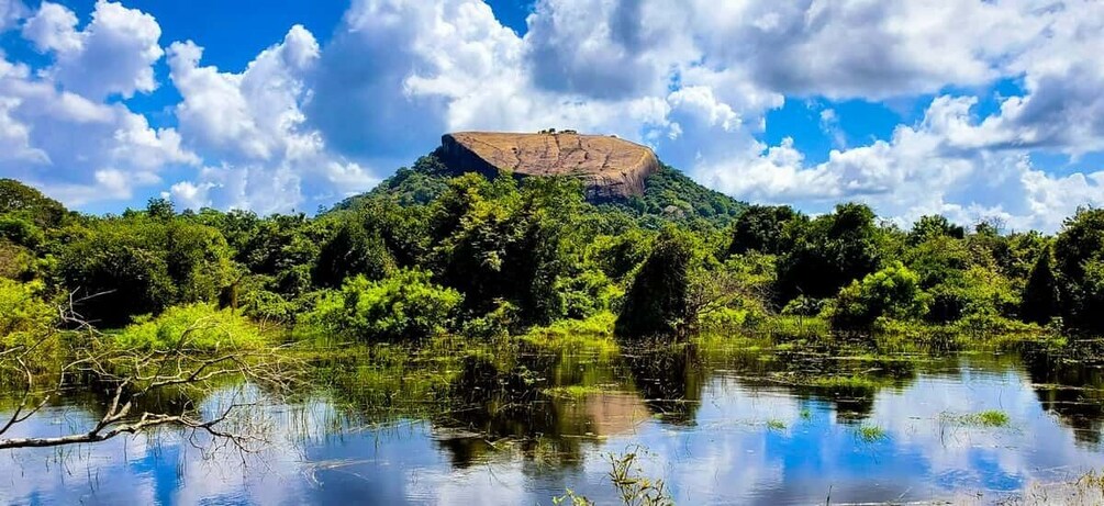 Picture 10 for Activity Colombo: Nature, Wildlife & History 4-Day Guided Tour