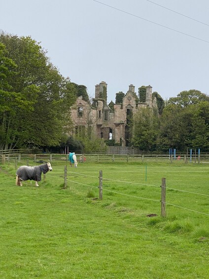 Picture 2 for Activity Castle and Coastline Electric Bike Tour North Berwick