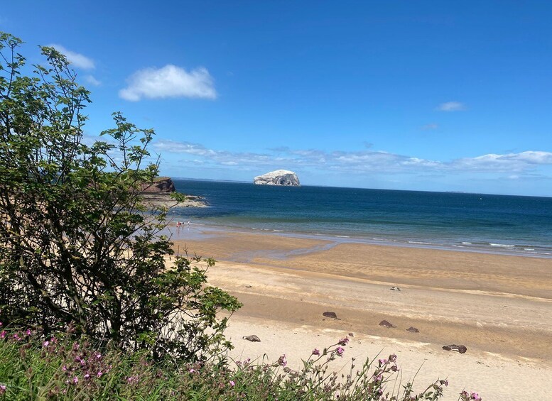Picture 3 for Activity Castle and Coastline Electric Bike Tour North Berwick