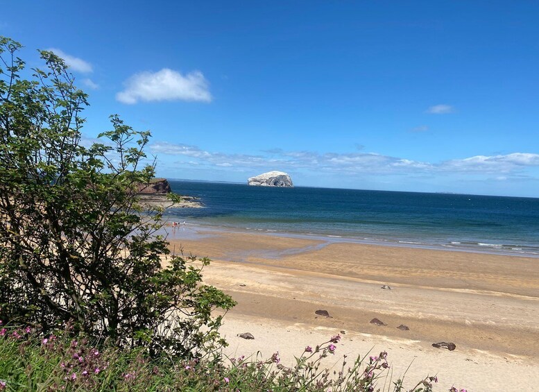 Picture 3 for Activity Castle and Coastline Electric Bike Tour North Berwick