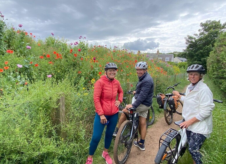 Picture 7 for Activity Castle and Coastline Electric Bike Tour North Berwick