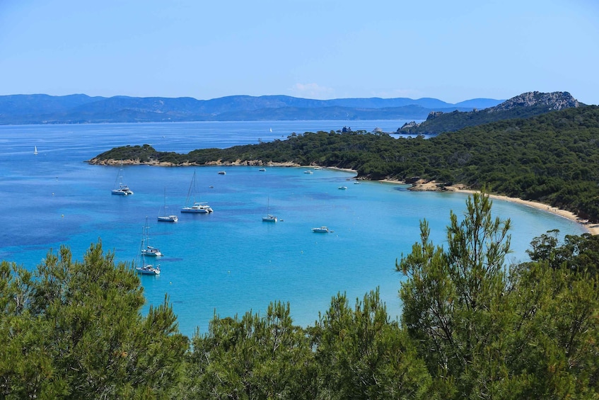 Picture 3 for Activity SEAYOU ESCAPE Porquerolles: excursion en semi-rigide ODYSSEE