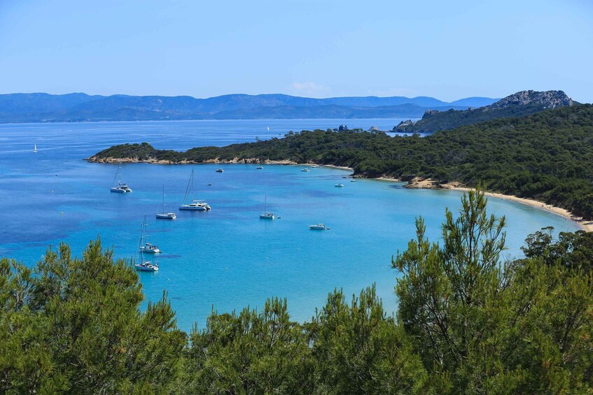 Picture 3 for Activity SEAYOU ESCAPE Porquerolles: excursion en semi-rigide ODYSSEE