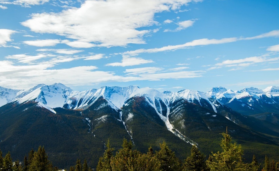 Picture 8 for Activity From Banff/Canmore: Guided Day Tour in Banff National Park