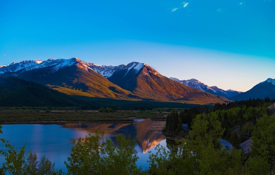 Picture 5 for Activity From Banff/Canmore: Guided Day Tour in Banff National Park