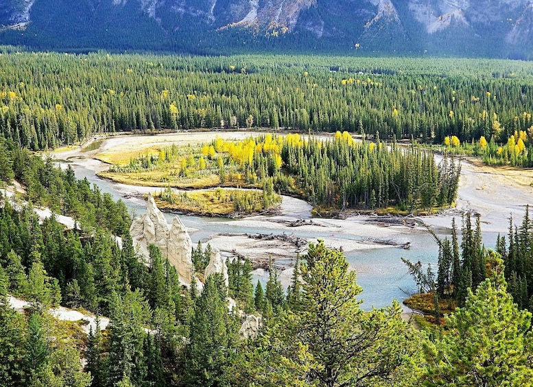 Picture 2 for Activity From Banff/Canmore: Guided Day Tour in Banff National Park