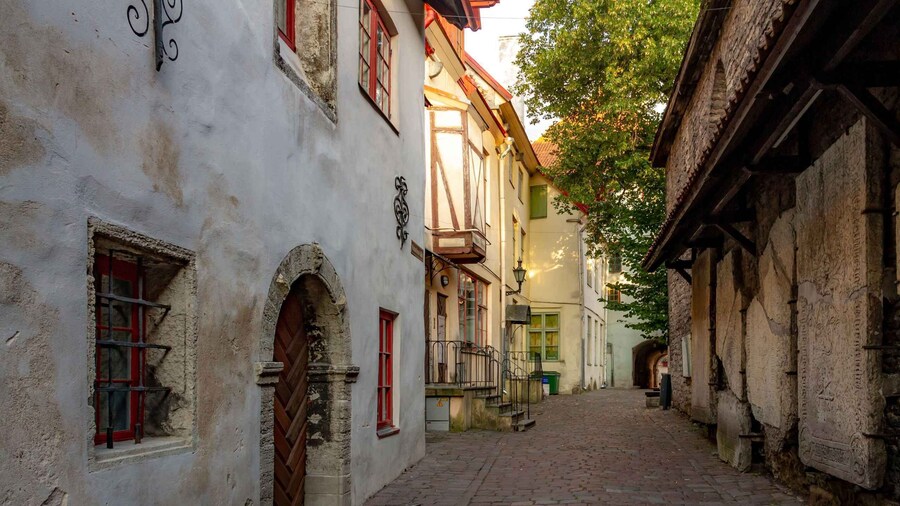 Picture 6 for Activity Tallinn: City Highlights Guided Walking Tour