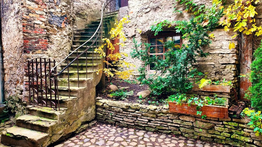 Tallinn: City Highlights Guided Walking Tour