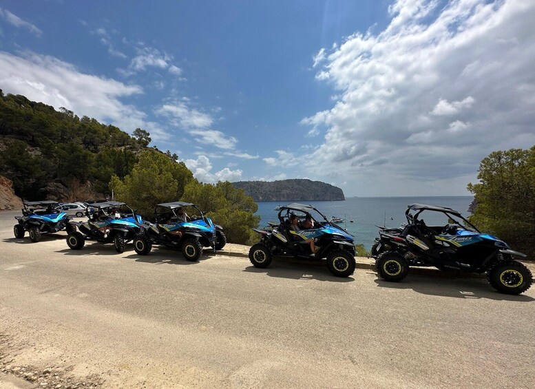 Picture 1 for Activity Paguera: Malgrats Island and Sant Elm Buggy Tour