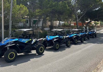 Paguera: ทัวร์เกาะ Malgrats และ Sant Elm Buggy