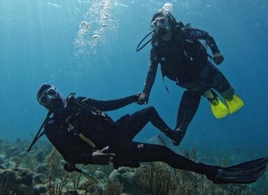 San Andrés Island: Personalized Mini Scuba Diving Course