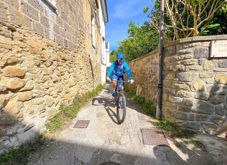 Picture 2 for Activity Sorrento: E-bike Oil & Lemon Tour with Tasting