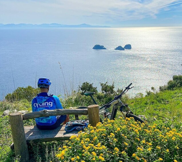 Picture 5 for Activity Sorrento: E-bike Oil & Lemon Tour with Tasting