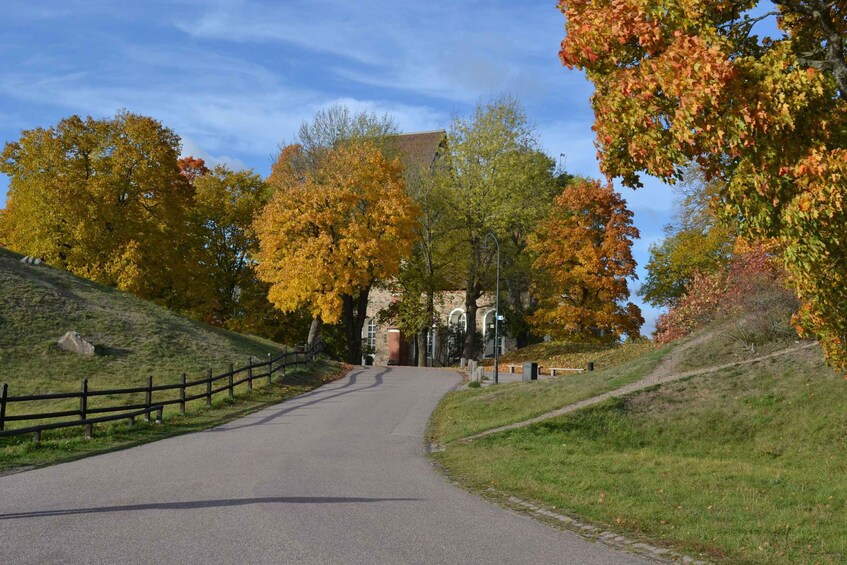 Picture 2 for Activity From Stockholm: Uppsala and Sigtuna Viking Sites Tour